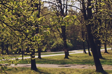 fot. Iwona Łach