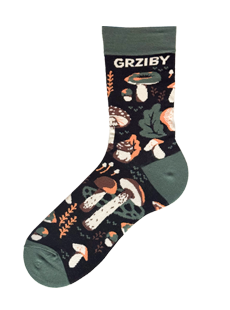 Zoki Grziby
