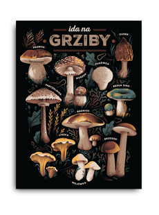 Plakat Ida na grziby