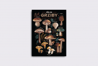 Plakat Ida na grziby