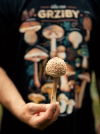 Koszulka czorno grziby - uniseks