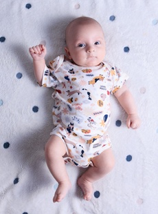 Body kociki i fafiki pattern