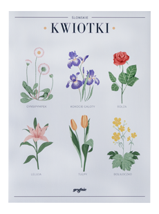 Plakat Kwiotki