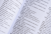 Ksionżka Słownik górnoślonskiyj godki