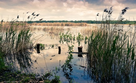 fot. Marek